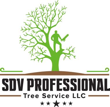 D J C Professional Tree Services Ltd